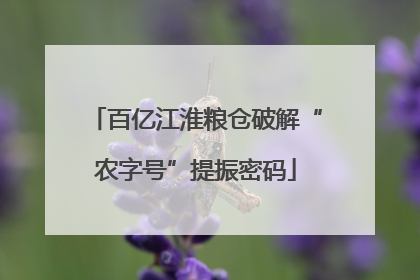 百亿江淮粮仓破解“农字号”提振密码