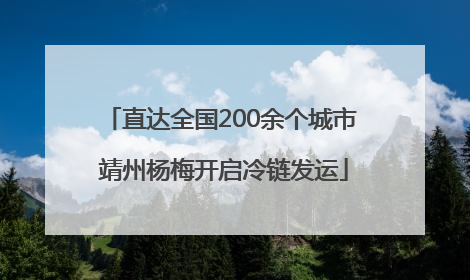 直达全国200余个城市 靖州杨梅开启冷链发运