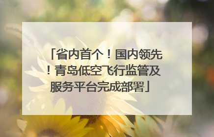 省内首个！国内领先！青岛低空飞行监管及服务平台完成部署
