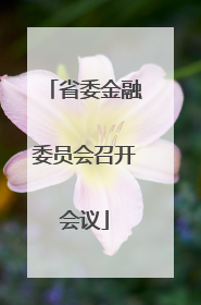 省委金融委员会召开会议
