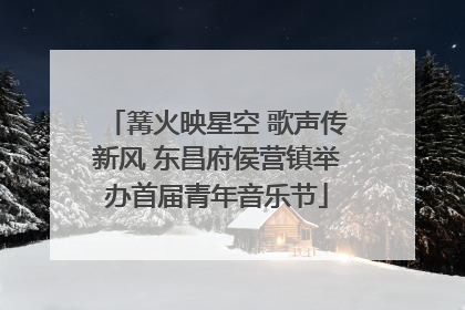 篝火映星空 歌声传新风 东昌府侯营镇举办首届青年音乐节