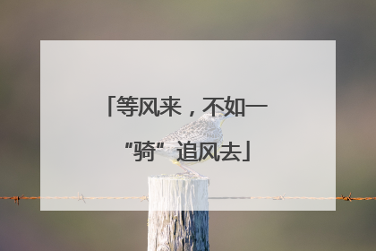 等风来，不如一“骑”追风去
