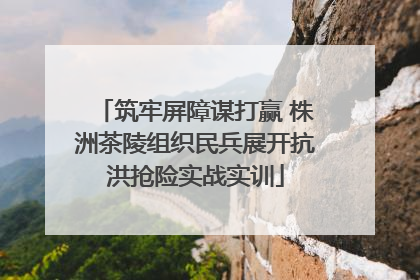 筑牢屏障谋打赢 株洲茶陵组织民兵展开抗洪抢险实战实训