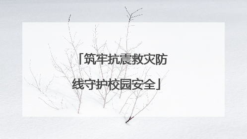 筑牢抗震救灾防线守护校园安全
