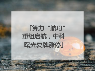 算力“航母”重组启航，中科曙光复牌涨停