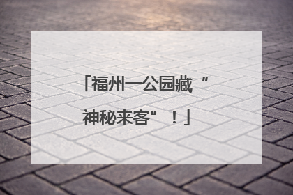福州一公园藏“神秘来客”！