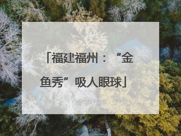 福建福州：“金鱼秀”吸人眼球