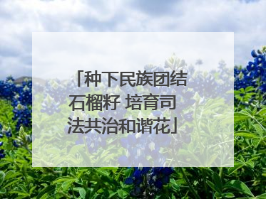种下民族团结石榴籽 培育司法共治和谐花