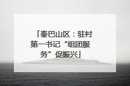 秦巴山区：驻村第一书记“组团服务”促振兴