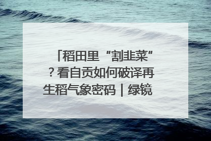 稻田里“割韭菜”？看自贡如何破译再生稻气象密码｜绿镜头·发现中国