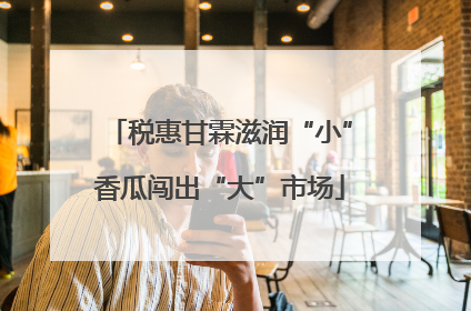 税惠甘霖滋润“小”香瓜闯出“大”市场