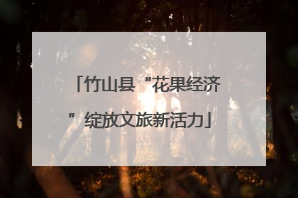 竹山县“花果经济”绽放文旅新活力