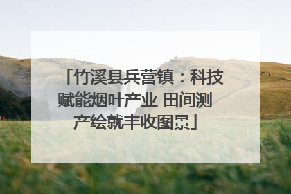 竹溪县兵营镇：科技赋能烟叶产业 田间测产绘就丰收图景