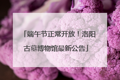 端午节正常开放！洛阳古墓博物馆最新公告