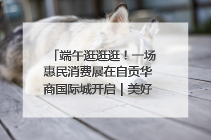 端午逛逛逛！一场惠民消费展在自贡华商国际城开启｜美好生活有“盐”味