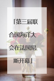 第三届联合国海洋大会在法国尼斯开幕