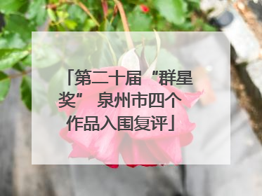 第二十届“群星奖” 泉州市四个作品入围复评