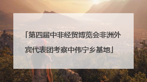 第四届中非经贸博览会非洲外宾代表团考察中伟宁乡基地