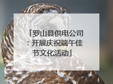 罗山县供电公司：开展庆祝端午佳节文化活动