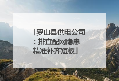 罗山县供电公司：排查配网隐患 精准补齐短板