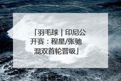 羽毛球｜印尼公开赛：程星/张驰混双首轮晋级
