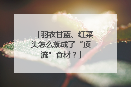 羽衣甘蓝、红菜头怎么就成了“顶流”食材？