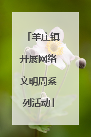 羊庄镇开展网络文明周系列活动