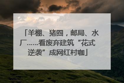 羊棚、猪圈，邮局、水厂……看废弃建筑“花式逆袭”成网红村咖