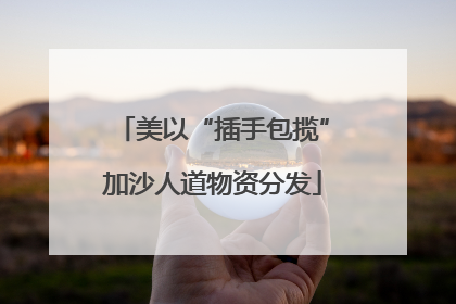 美以“插手包揽”加沙人道物资分发