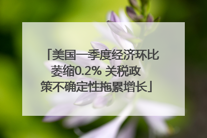 美国一季度经济环比萎缩0.2% 关税政策不确定性拖累增长