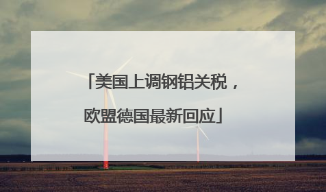 美国上调钢铝关税，欧盟德国最新回应