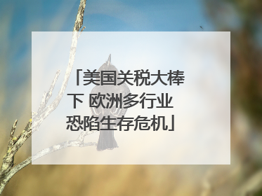 美国关税大棒下 欧洲多行业恐陷生存危机