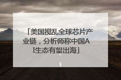 美国搅乱全球芯片产业链，分析师称中国AI生态有望出海