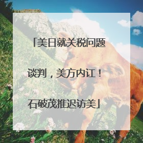 美日就关税问题谈判，美方内讧！石破茂推迟访美