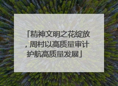 精神文明之花绽放，周村以高质量审计护航高质量发展