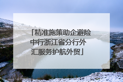 精准施策助企避险 中行浙江省分行外汇服务护航外贸