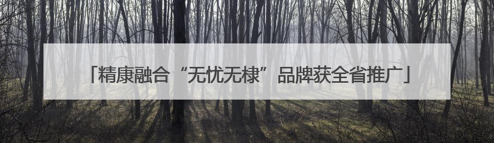 精康融合“无忧无棣”品牌获全省推广