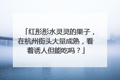 红彤彤水灵灵的果子，在杭州街头大量成熟，看着诱人但能吃吗？