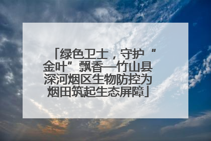 绿色卫士，守护“金叶”飘香—竹山县深河烟区生物防控为烟田筑起生态屏障