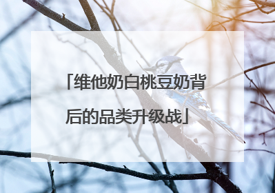 维他奶白桃豆奶背后的品类升级战