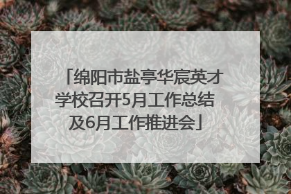 绵阳市盐亭华宸英才学校召开5月工作总结及6月工作推进会