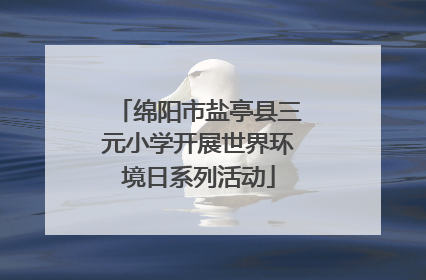 绵阳市盐亭县三元小学开展世界环境日系列活动