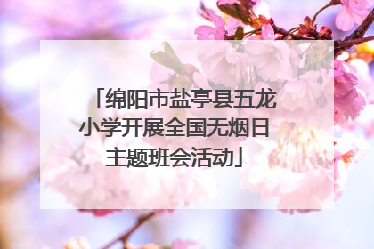 绵阳市盐亭县五龙小学开展全国无烟日主题班会活动