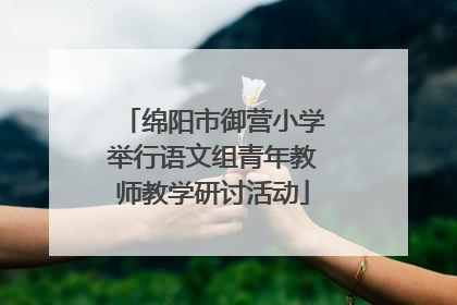 绵阳市御营小学举行语文组青年教师教学研讨活动