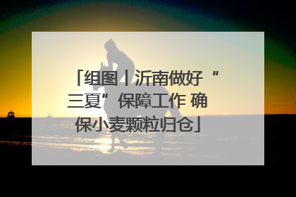 组图丨沂南做好“三夏”保障工作 确保小麦颗粒归仓
