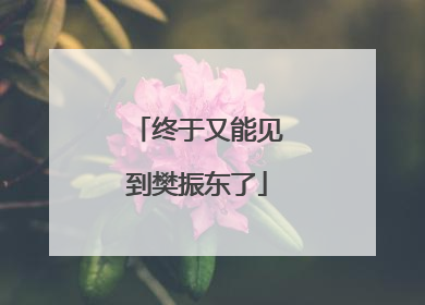 终于又能见到樊振东了