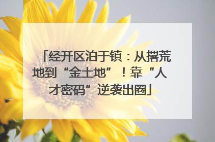 经开区泊于镇：从撂荒地到“金土地”！靠“人才密码”逆袭出圈
