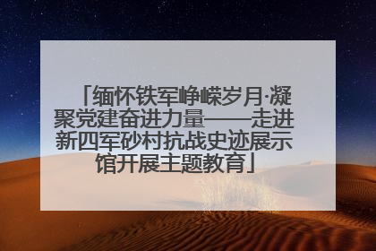 缅怀铁军峥嵘岁月·凝聚党建奋进力量——走进新四军砂村抗战史迹展示馆开展主题教育