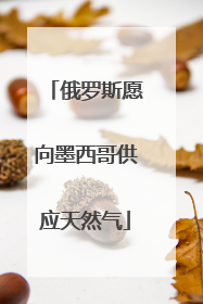 俄罗斯愿向墨西哥供应天然气