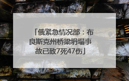 俄紧急情况部：布良斯克州桥梁坍塌事故已致7死47伤